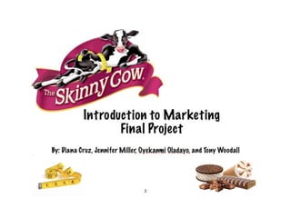 Get The Skinny on Skinny Cow Marketing Plan - Intro to Marketing Course