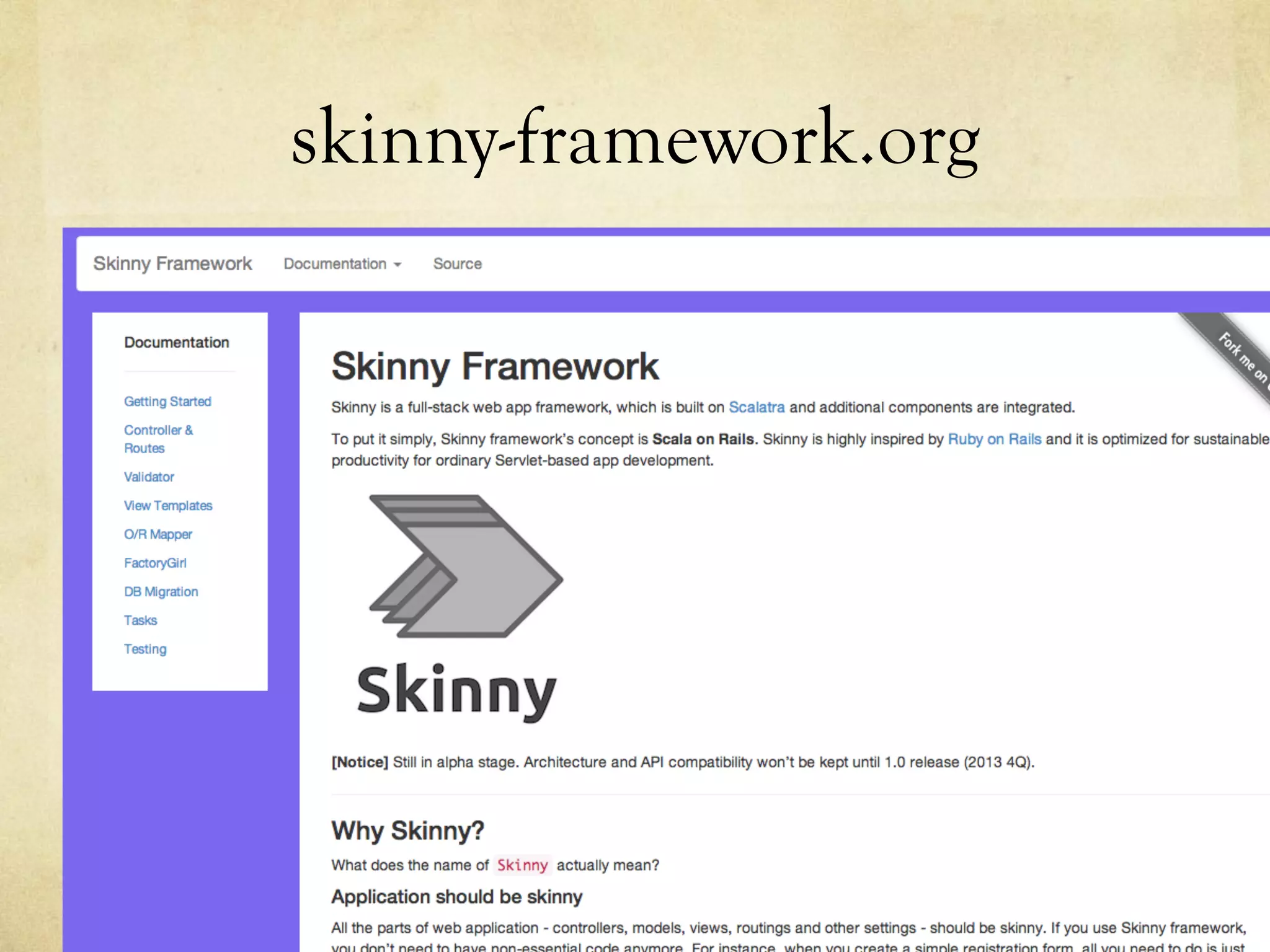 skinny-framework.org	
 

 