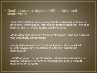 Pathology of the skin skin pathology skin | PPTX