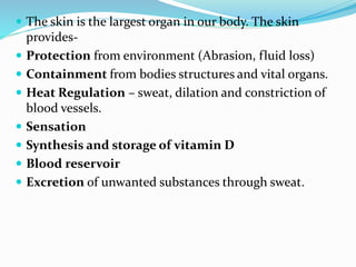  The skin is the largest organ in our body. The skin
provides-
 Protection from environment (Abrasion, fluid loss)
 Containment from bodies structures and vital organs.
 Heat Regulation – sweat, dilation and constriction of
blood vessels.
 Sensation
 Synthesis and storage of vitamin D
 Blood reservoir
 Excretion of unwanted substances through sweat.
 
