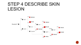 Rash Description Algorithm Approach to Skin rash | PPTX