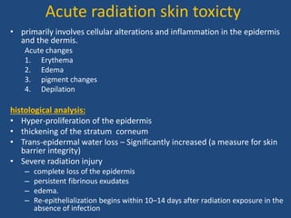 Acute radiation skin toxicty
• primarily involves cellular alterations and inflammation in the epidermis
and the dermis.
Acute changes
1. Erythema
2. Edema
3. pigment changes
4. Depilation
histological analysis:
• Hyper-proliferation of the epidermis
• thickening of the stratum corneum
• Trans-epidermal water loss – Significantly increased (a measure for skin
barrier integrity)
• Severe radiation injury
– complete loss of the epidermis
– persistent fibrinous exudates
– edema.
– Re-epithelialization begins within 10–14 days after radiation exposure in the
absence of infection
 