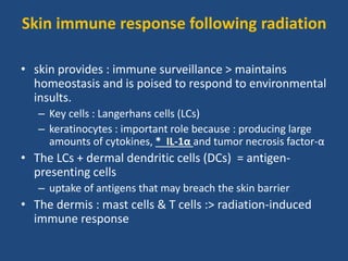 Skin immune response following radiation
• skin provides : immune surveillance > maintains
homeostasis and is poised to respond to environmental
insults.
– Key cells : Langerhans cells (LCs)
– keratinocytes : important role because : producing large
amounts of cytokines, * IL-1α and tumor necrosis factor-α
• The LCs + dermal dendritic cells (DCs) = antigen-
presenting cells
– uptake of antigens that may breach the skin barrier
• The dermis : mast cells & T cells :> radiation-induced
immune response
 