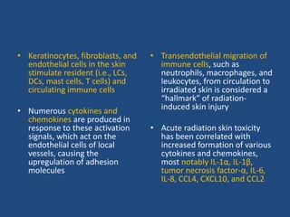 • Keratinocytes, fibroblasts, and
endothelial cells in the skin
stimulate resident (i.e., LCs,
DCs, mast cells, T cells) and
circulating immune cells
• Numerous cytokines and
chemokines are produced in
response to these activation
signals, which act on the
endothelial cells of local
vessels, causing the
upregulation of adhesion
molecules
• Transendothelial migration of
immune cells, such as
neutrophils, macrophages, and
leukocytes, from circulation to
irradiated skin is considered a
“hallmark” of radiation-
induced skin injury
• Acute radiation skin toxicity
has been correlated with
increased formation of various
cytokines and chemokines,
most notably IL-1α, IL-1β,
tumor necrosis factor-α, IL-6,
IL-8, CCL4, CXCL10, and CCL2
 