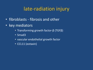 late-radiation injury
• fibroblasts - fibrosis and other
• key mediators
• Transforming growth factor-β (TGFβ)
• Smad3
• vascular endothelial growth factor
• CCL11 (eotaxin)
 
