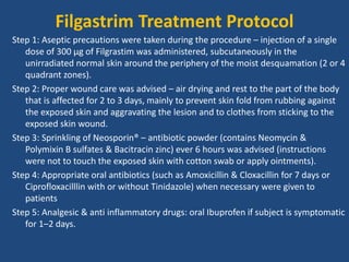 Filgastrim Treatment Protocol
Step 1: Aseptic precautions were taken during the procedure – injection of a single
dose of 300 μg of Filgrastim was administered, subcutaneously in the
unirradiated normal skin around the periphery of the moist desquamation (2 or 4
quadrant zones).
Step 2: Proper wound care was advised – air drying and rest to the part of the body
that is affected for 2 to 3 days, mainly to prevent skin fold from rubbing against
the exposed skin and aggravating the lesion and to clothes from sticking to the
exposed skin wound.
Step 3: Sprinkling of Neosporin® – antibiotic powder (contains Neomycin &
Polymixin B sulfates & Bacitracin zinc) ever 6 hours was advised (instructions
were not to touch the exposed skin with cotton swab or apply ointments).
Step 4: Appropriate oral antibiotics (such as Amoxicillin & Cloxacillin for 7 days or
Ciprofloxacilllin with or without Tinidazole) when necessary were given to
patients
Step 5: Analgesic & anti inflammatory drugs: oral Ibuprofen if subject is symptomatic
for 1–2 days.
 
