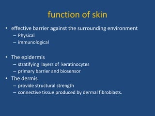 function of skin
• effective barrier against the surrounding environment
– Physical
– immunological
• The epidermis
– stratifying layers of keratinocytes
– primary barrier and biosensor
• The dermis
– provide structural strength
– connective tissue produced by dermal fibroblasts.
 