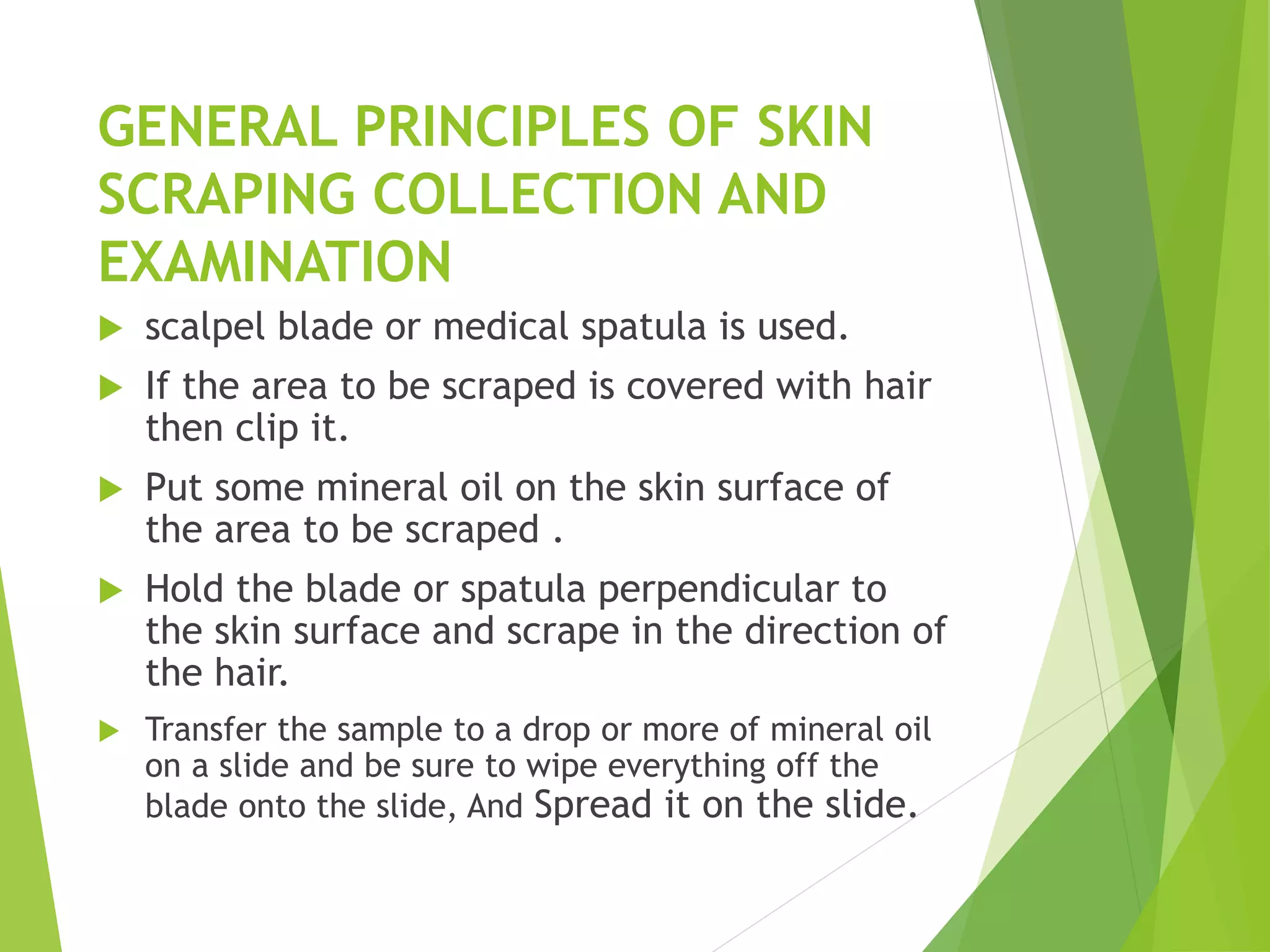 GENERAL PRINCIPLES OF SKIN
SCRAPING COLLECTION AND
EXAMINATION
 scalpel blade or medical spatula is used.
 If the area to be scraped is covered with hair
then clip it.
 Put some mineral oil on the skin surface of
the area to be scraped .
 Hold the blade or spatula perpendicular to
the skin surface and scrape in the direction of
the hair.
 Transfer the sample to a drop or more of mineral oil
on a slide and be sure to wipe everything off the
blade onto the slide, And Spread it on the slide.
 