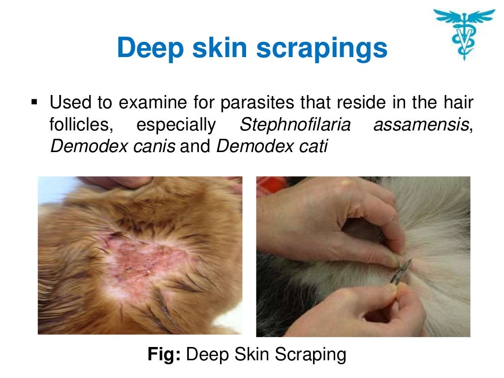 Skin scraping test