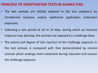 PRINCIPLE OF SENSITISATION TESTS IN GUINEA PIGS
• The test animals are initially exposed to the test substance by
intradermal injection and/or epidermal application (induction
exposure).
• Following a rest period of 10 to 14 days, during which an immune
response may develop, the animals are exposed to a challenge dose.
• The extent and degree of skin reaction to the challenge exposure in
the test animals is compared with that demonstrated by control
animals which undergo sham treatment during induction and receive
the challenge exposure.
 