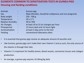 ELEMENTS COMMON TO SENSITISATION TESTS IN GUINEA PIGS
Housing and feeding conditions
Animals : Guinea pigs
Sex : Male (females, should be nulliparous and non-pregnant).
Body weight : 250 - 500 g
Temperature : 20 ± 3 °C
Relative Humidity : 30 to 70%
Air Changes : at least 10 to 15 air changes per hour
Photoperiod : 12 hours dark and 12 hours light
Acclimatization : at least 5 days prior to the test
Feeding : conventional laboratory diets
• It is essential that guinea pigs receive an adequate amount of ascorbic acid.
• Like humans, guinea pigs can't make their own Vitamin C and as such, the only source of
the vitamin is through their diet.
• Vitamin C is important for healthy bones, blood vessels, connective tissues and collagen
production.
• An average, a guinea pig requires 10-30mg/kg daily
 