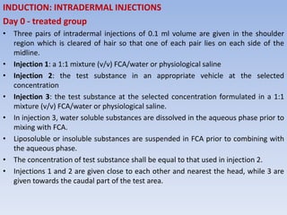 INDUCTION: INTRADERMAL INJECTIONS
Day 0 - treated group
• Three pairs of intradermal injections of 0.1 ml volume are given in the shoulder
region which is cleared of hair so that one of each pair lies on each side of the
midline.
• Injection 1: a 1:1 mixture (v/v) FCA/water or physiological saline
• Injection 2: the test substance in an appropriate vehicle at the selected
concentration
• Injection 3: the test substance at the selected concentration formulated in a 1:1
mixture (v/v) FCA/water or physiological saline.
• In injection 3, water soluble substances are dissolved in the aqueous phase prior to
mixing with FCA.
• Liposoluble or insoluble substances are suspended in FCA prior to combining with
the aqueous phase.
• The concentration of test substance shall be equal to that used in injection 2.
• Injections 1 and 2 are given close to each other and nearest the head, while 3 are
given towards the caudal part of the test area.
 