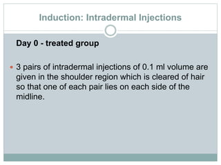 Induction: Intradermal Injections
Day 0 - treated group
 3 pairs of intradermal injections of 0.1 ml volume are
given in the shoulder region which is cleared of hair
so that one of each pair lies on each side of the
midline.
 