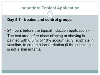 Induction: Topical Application
Day 5-7 - treated and control groups
 24 hours before the topical induction application –
The test area, after close-clipping or shaving is
painted with 0.5 ml of 10% sodium lauryl sulphate in
vaseline, to create a local irritation (if the substance
is not a skin irritant).
 