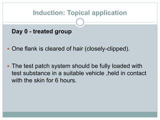 Induction: Topical application
Day 0 - treated group
 One flank is cleared of hair (closely-clipped).
 The test patch system should be fully loaded with
test substance in a suitable vehicle ,held in contact
with the skin for 6 hours.
 