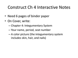 Construct Ch 4 Interactive Notes
• Need 6 pages of binder paper
• On Cover, write:
– Chapter 4: Integumentary System
– Your name, period, seat number
– A color picture (the integumentary system
includes skin, hair, and nails)

 