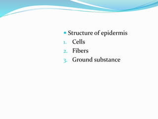  Structure of epidermis
1. Cells
2. Fibers
3. Ground substance
 