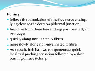 Itching
 follows the stimulation of fine free nerve endings
lying close to the dermo-epidermal junction.
 Impulses from these free endings pass centrally in
two ways:
1. quickly along myelinated A fibres
2.more slowly along non-myelinated C fibres.
 As a result, itch has two components: a quick
localized pricking sensation followed by a slow
burning diffuse itching.
 