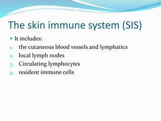 The skin immune system (SIS)
 It includes:
1. the cutaneous blood vessels and lymphatics
2. local lymph nodes
3. Circulating lymphocytes
4. resident immune cells
 