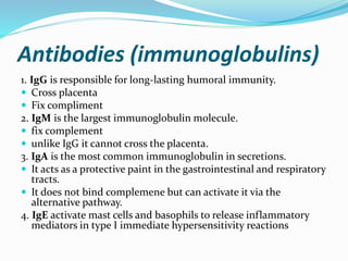Antibodies (immunoglobulins)
1. IgG is responsible for long-lasting humoral immunity.
 Cross placenta
 Fix compliment
2. IgM is the largest immunoglobulin molecule.
 fix complement
 unlike IgG it cannot cross the placenta.
3. IgA is the most common immunoglobulin in secretions.
 It acts as a protective paint in the gastrointestinal and respiratory
tracts.
 It does not bind complemene but can activate it via the
alternative pathway.
4. IgE activate mast cells and basophils to release inflammatory
mediators in type I immediate hypersensitivity reactions
 
