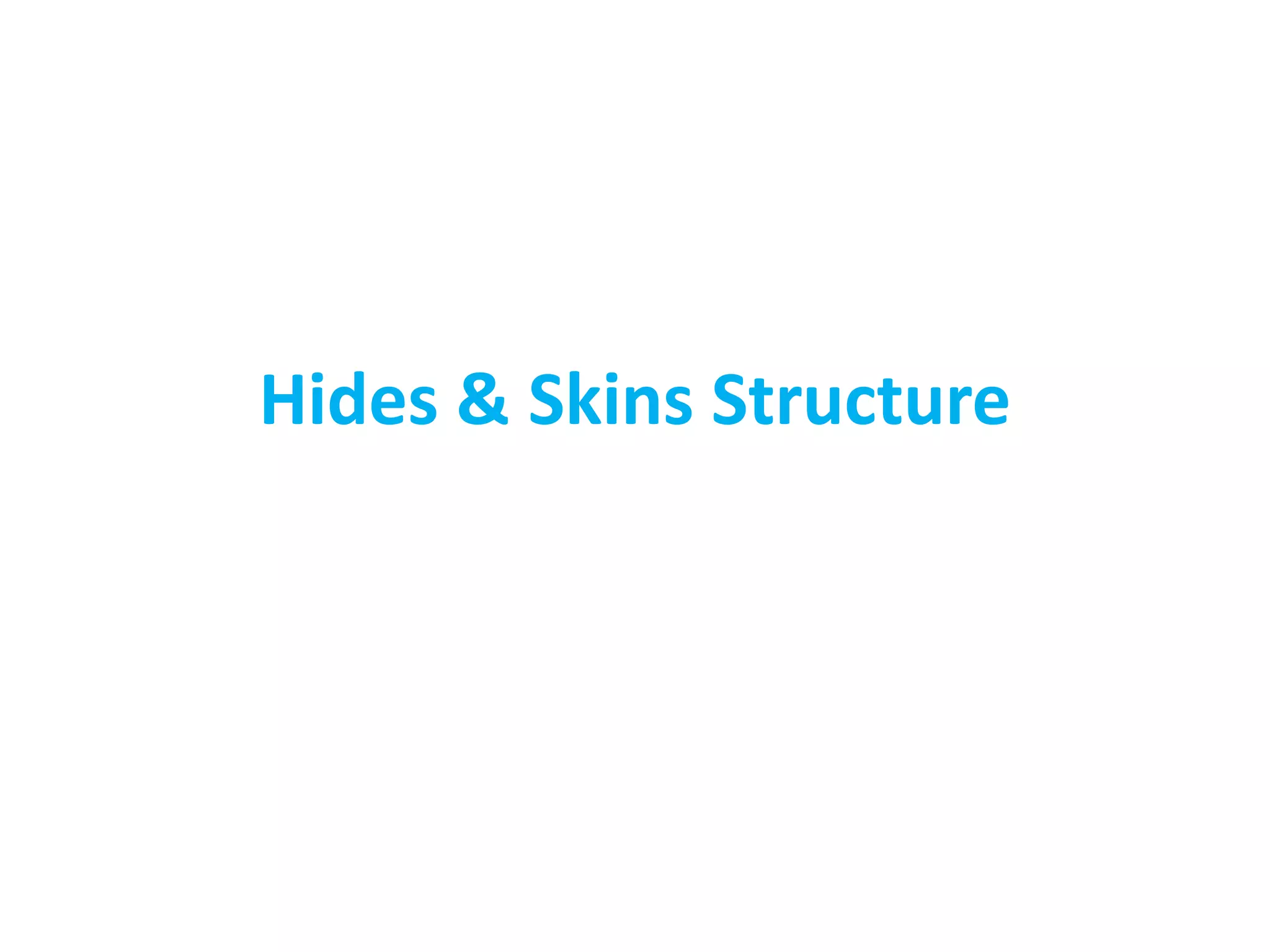Skin structure & hide defects | PPTX