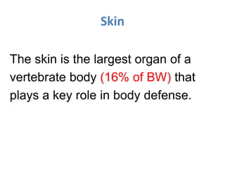 Skin
The skin is the largest organ of a
vertebrate body (16% of BW) that
plays a key role in body defense.
 