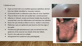 Skin & subcutaneous tissue .pptx