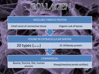 COMMERCIAL
Bovine, Porcine, fish, human
amnion
Sheep(intestine,tendo-achilles)
FOUND IN EXTRACELLULAR MATRIX
20 types (I,III m/c) 25-35%body protein
INSOLUBLE FIBROUS PROTEIN
Chief const of connective tissue Organic sub of bones