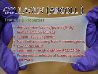 Features & Properties