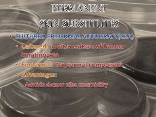 Skin substitutes