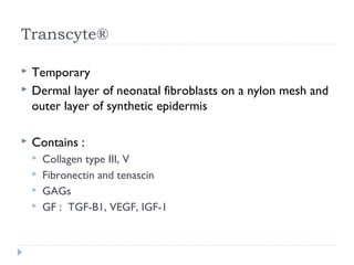 Transcyte®
 Temporary
 Dermal layer of neonatal fibroblasts on a nylon mesh and
outer layer of synthetic epidermis
 Contains :
 Collagen type III, V
 Fibronectin and tenascin
 GAGs
 GF : TGF-B1, VEGF, IGF-1
 