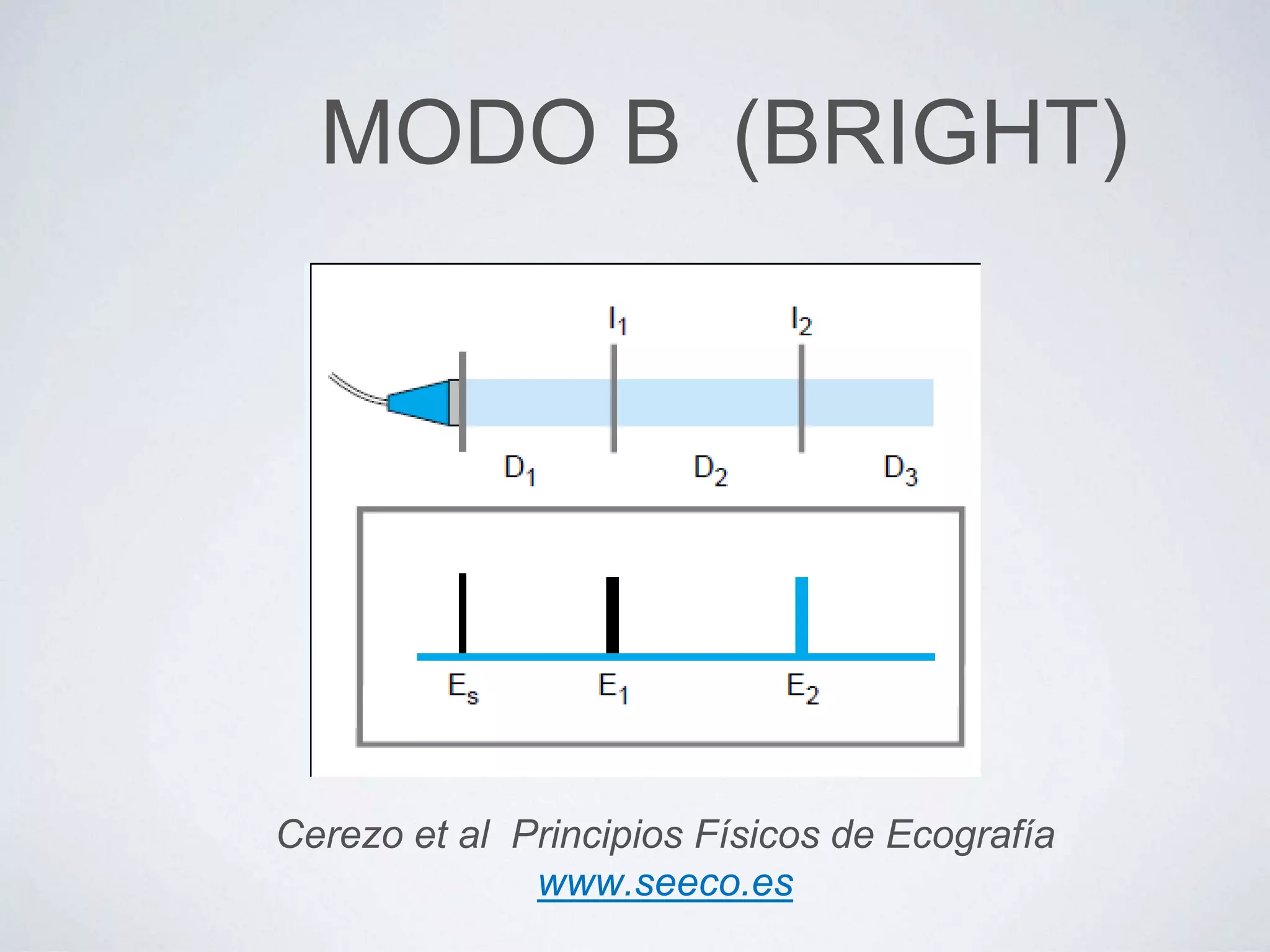 MODO B (BRIGHT)
Cerezo et al Principios Físicos de Ecografía
www.seeco.es
 