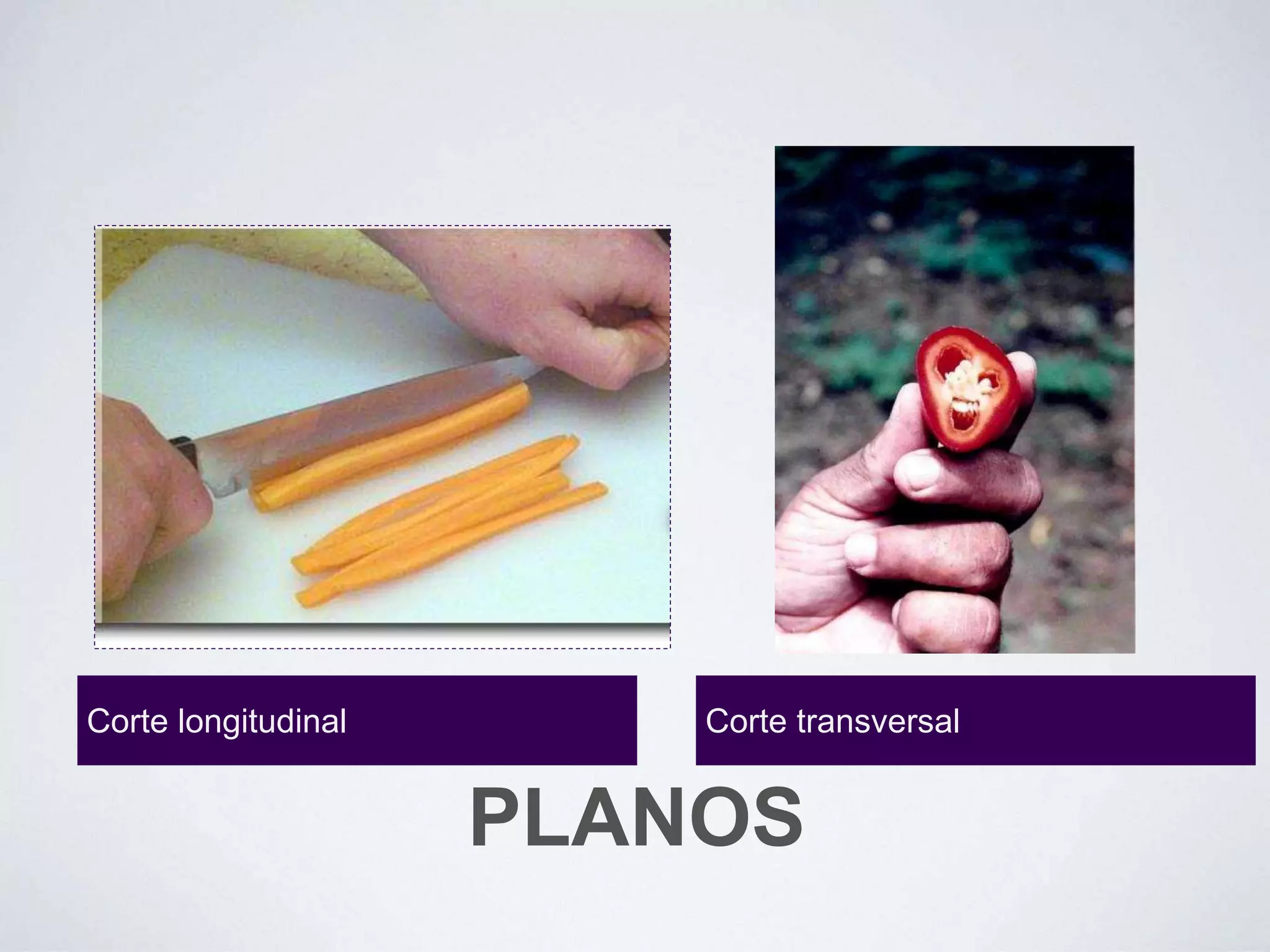 PLANOS
Corte longitudinal Corte transversal
 