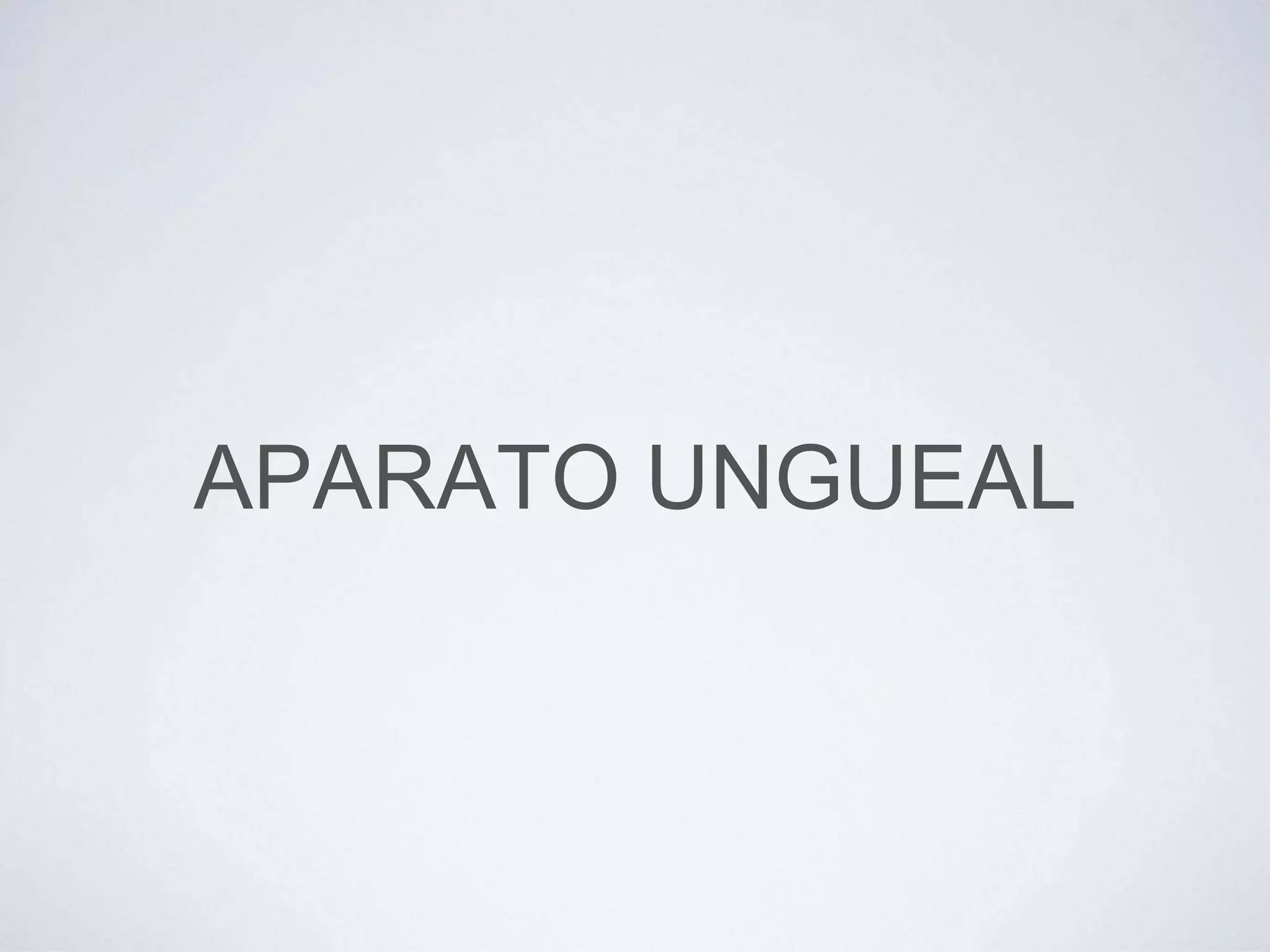 APARATO UNGUEAL
 