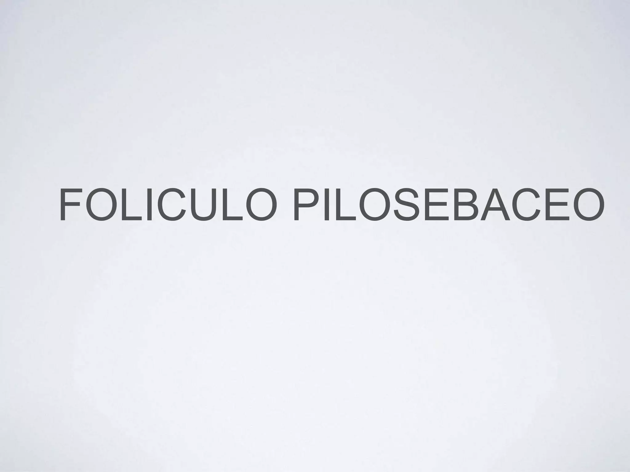 FOLICULO PILOSEBACEO
 