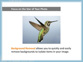 Background Removal allows you to quickly and easily
remove backgrounds to isolate items in your image.
Focus on the Star of Your Photo
 