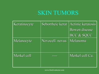   SKIN TUMORS www.freelivedoctor.com Keratinocyte Seborrheic kerat Actinic keratosis Bowen disease BCC & SQCC Melanocyte Nevocell. nevus Melanoma Merkel cell ---- Merkel cell Ca. 