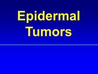 Epidermal Tumors 