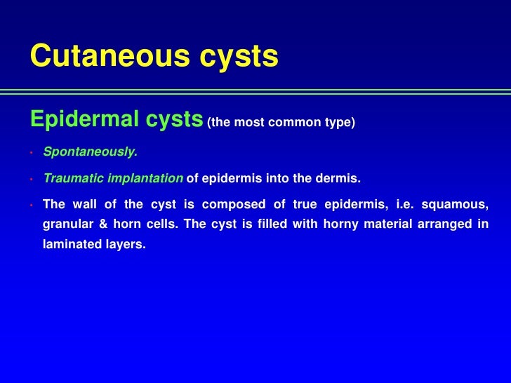 Dermatology 5th year, 1st lecture (Dr. Mohammad Yousif)