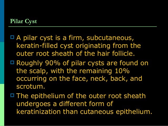 Benign and Malignant Skin Leisions