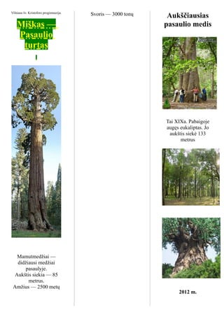 Vilniaus šv. Kristoforo progimnazija.
                                        Svoris — 3000 tonų    Aukščiausias
    Miškas —                                                 pasaulio medis
    Pasaulio
     turtas




                                                             Tai XIXa. Pabaigoje
                                                             augęs eukaliptas. Jo
                                                              aukštis siekė 133
                                                                   metrus




   Mamutmedžiai —
   didžiausi medžiai
       pasaulyje.
  Aukštis siekia — 85
        metrus.
 Amžius — 2500 metų
                                                                  2012 m.
 