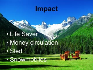 Impact Life Saver Money circulation Sled Snowmobiles