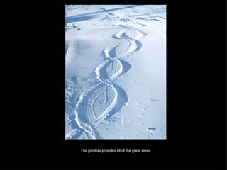 The gondola provides all of the great views. 