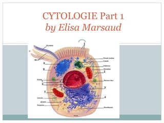 CYTOLOGIE Part 1
by Elisa Marsaud
 