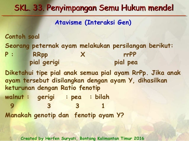 Contoh Soal Penyimpangan Semu Hukum Mendel Materi Soal