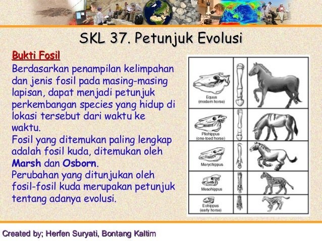 Skl 37 Petunjuk Evolus
