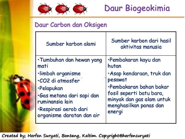 Skl 4 Daur Biogeokimia Skl 4 Daur Biogeokimia