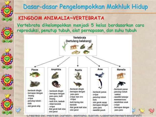 Skl 5 Dasar Pengelompokkan Organisme
