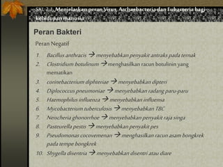 SKL 2.1.Menjelaskan peranVirus,Archaebacteria dan Eubacteria bagi
kehidupan manusia
Peran Bakteri
PeranNegatif
1. Bacillus anthracis menyebabkanpenyakit antrakspadaternak
2. Clostridium botulinum menghasilkan racun botulinin yang
mematikan
3. corinebacterium diphteriae menyebabkandipteri
4. Diplococcuspneumoniae menyebabkanradangparu-paru
5. Haemophilus influenza menyebabkaninfluensa
6. Mycobacteriumtuberculosis menyebabkan TBC
7. Neischeriaghonorrhoemenyebabkanpenyakit rajasinga
8. Pasteurella pestis menyebabkanpenyakit pes
9. Pseudomonas cocovemenanmenghasilkan racunasambongkrek
padatempebongkrek
10. Shygella disentria menyebabkandisentri ataudiare
 