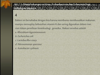 Bakteri ini bersahabat dengan kita karena membantu membusukkan makanan,
mampu mensuplay kebutuhan vitamin K dansering digunakan dalam riset
riset dalam penelitian bioteknologi , genetika ,Bakteri tersebut adalah
a.Rhizobium leguminosorum
b.Escherichiacoli
c.Lactobacillus casey
d.Nitrosomonas speciosa
e.Acetobacterxylinum
4
SKL 2.1.Menjelaskan peran Virus,Archaebacteria dan Eubacteria bagi
kehidupan manusia
 
